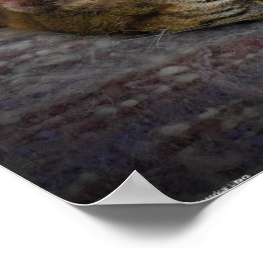 低速日、 ポスター (角)