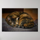 低速日、 ポスター (正面)