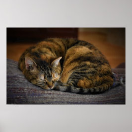 低速日、 ポスター