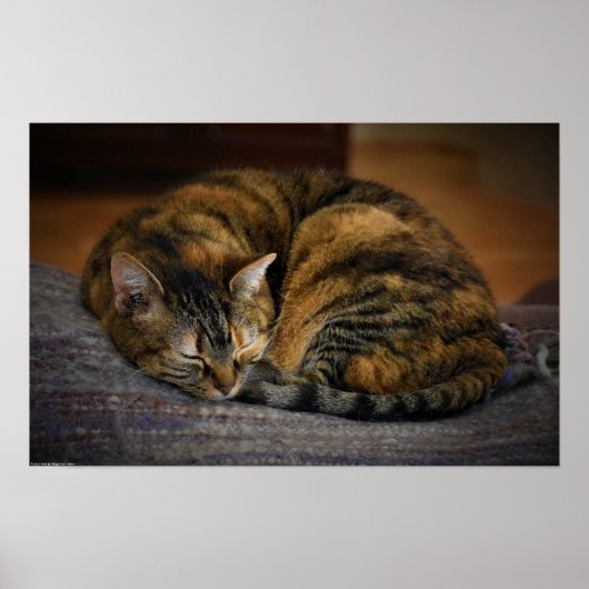 低速日、 ポスター (正面)