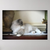 低速日、 ポスター (正面)