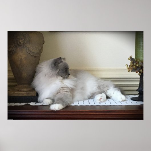 低速日、 ポスター (正面)