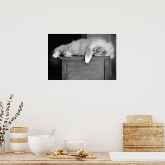 低速日、 ポスター (キッチン)