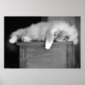 低速日、 ポスター (正面)