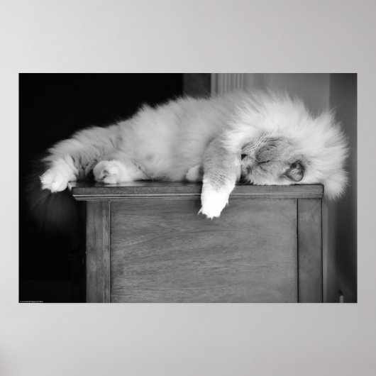 低速日、 ポスター (正面)