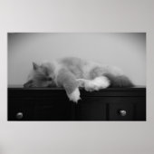 低速日、 ポスター (正面)