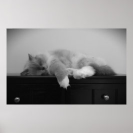 低速日、 ポスター