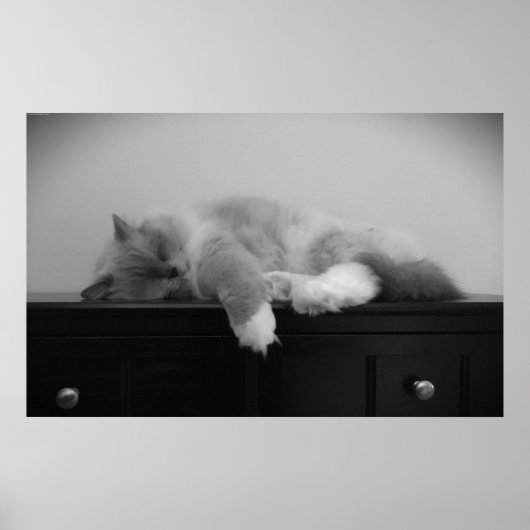 低速日、 ポスター (正面)