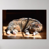 低速日、 ポスター (正面)