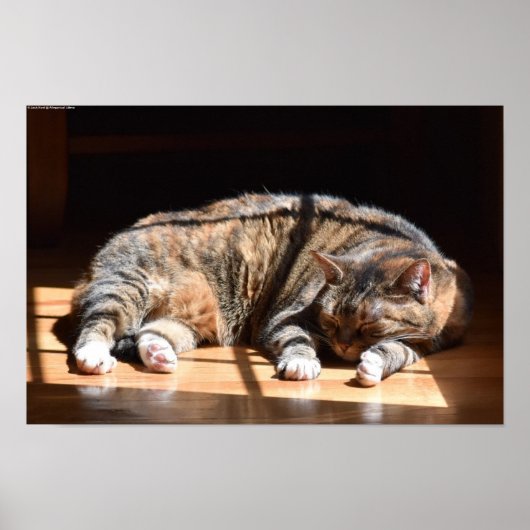 低速日、 ポスター (正面)