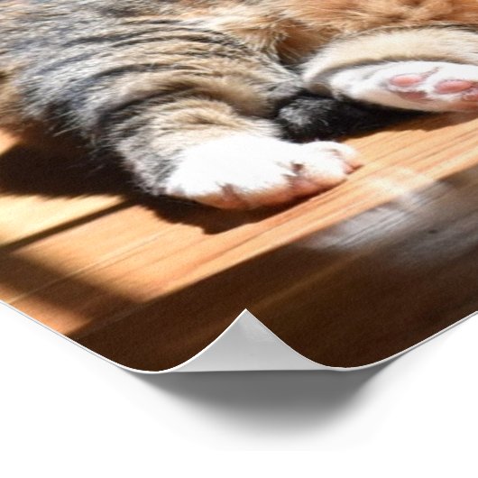 低速日、 ポスター (角)