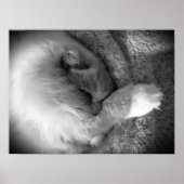 低速日、 ポスター (正面)