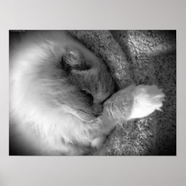 低速日、 ポスター