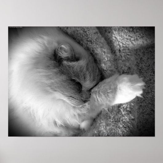 低速日、 ポスター (正面)