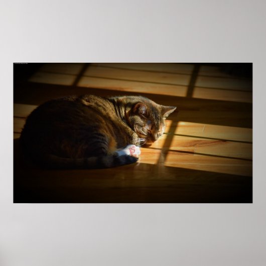 低速日、 ポスター (正面)