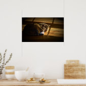 低速日、 ポスター (キッチン)