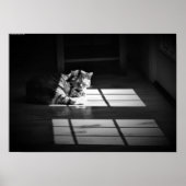 低速日、 ポスター (正面)