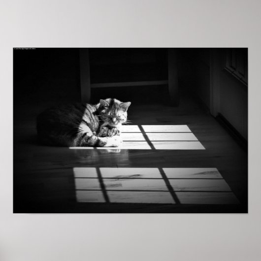 低速日、 ポスター (正面)