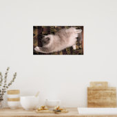 低速日、 ポスター (キッチン)