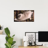 低速日、 ポスター (ホームオフィス)