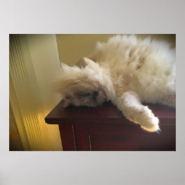 低速日、 ポスター