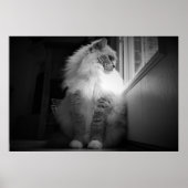 低速日、 ポスター (正面)