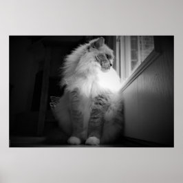 低速日、 ポスター