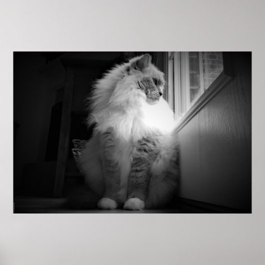 低速日、 ポスター (正面)