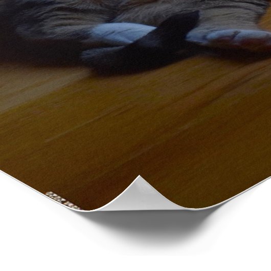 低速日、 ポスター (角)