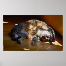 低速日、 ポスター