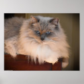 低速日、 ポスター (正面)