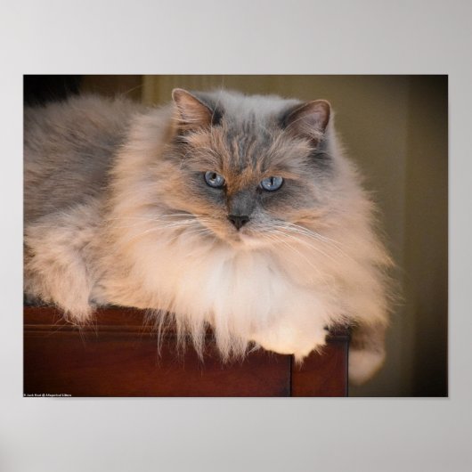 低速日、 ポスター (正面)