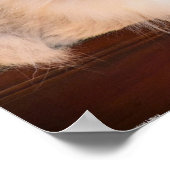 低速日、 ポスター (角)