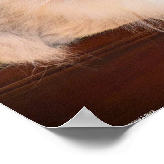 低速日、 ポスター (角)