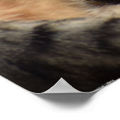 低速日、 ポスター (角)