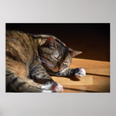 低速日、 ポスター (正面)