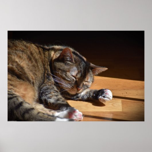 低速日、 ポスター (正面)