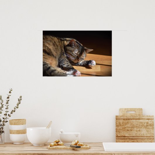 低速日、 ポスター (キッチン)