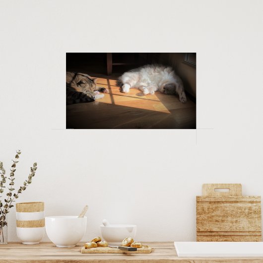 低速日、 ポスター (キッチン)