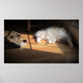 低速日、 ポスター