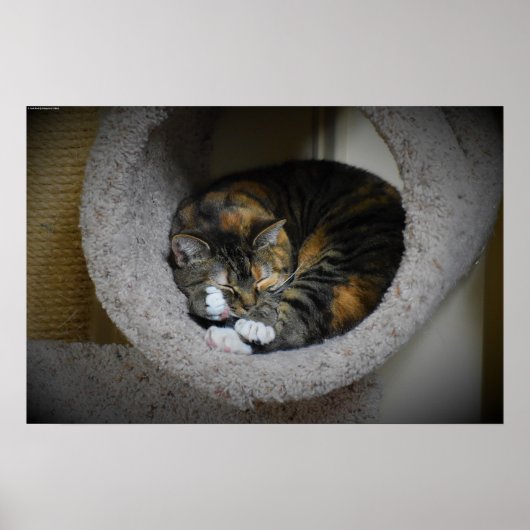 低速日、 ポスター (正面)