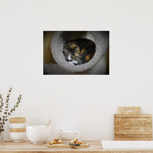 低速日、 ポスター (キッチン)