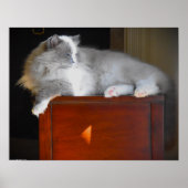 低速日、 ポスター (正面)