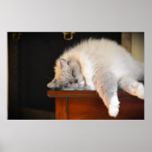 低速日、 ポスター (正面)