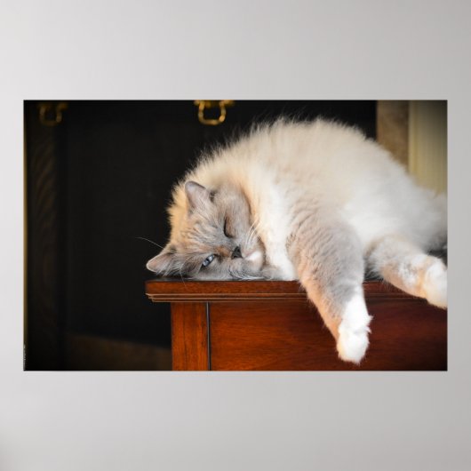 低速日、 ポスター (正面)