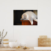 低速日、 ポスター (キッチン)