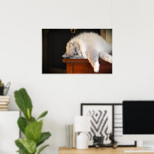 低速日、 ポスター (ホームオフィス)