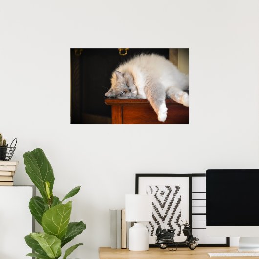 低速日、 ポスター (ホームオフィス)