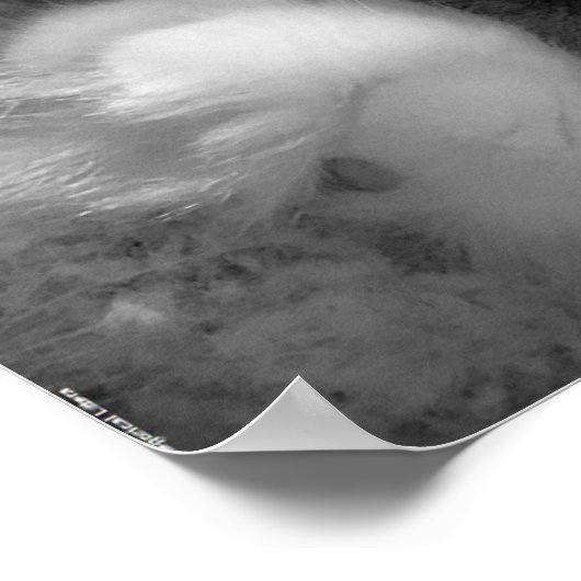 低速日、 ポスター (角)