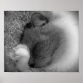 低速日、 ポスター (正面)